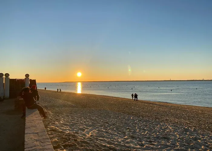 Appartement T2 Avec Exterieur Deganne